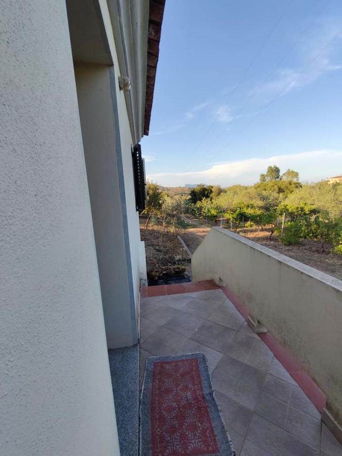 Villa Ulivella Schifoni Εξωτερικό φωτογραφία