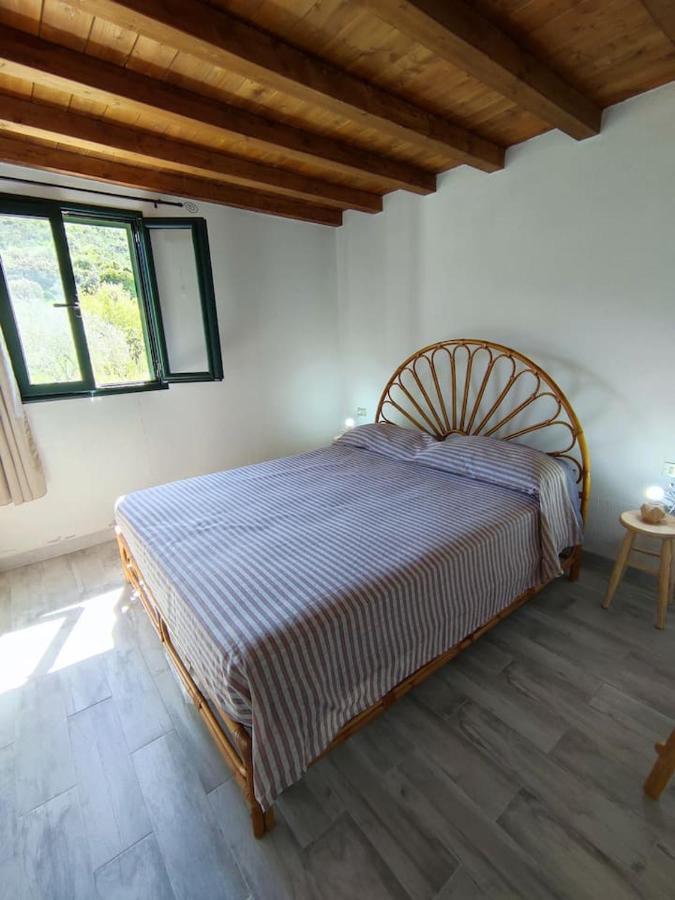 Villa Ulivella Schifoni Εξωτερικό φωτογραφία