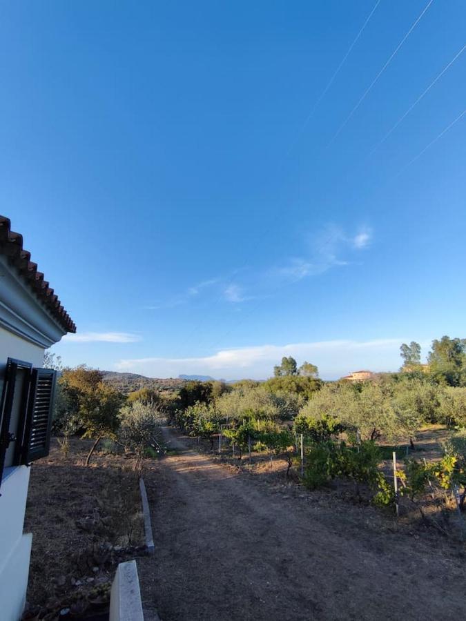 Villa Ulivella Schifoni Εξωτερικό φωτογραφία